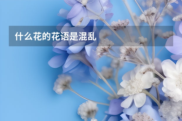 什么花的花语是混乱