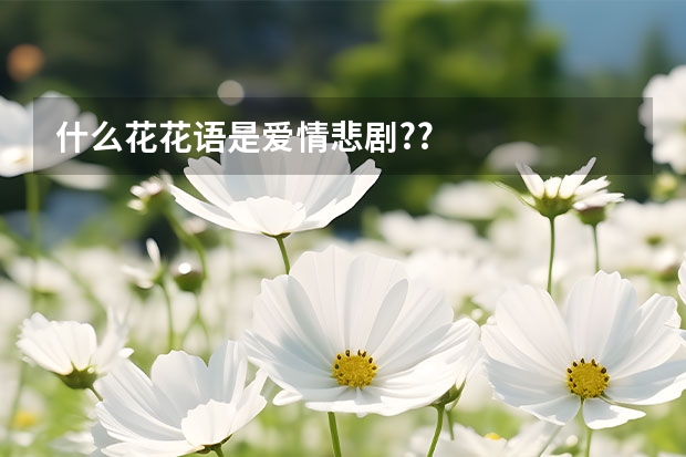 什么花花语是爱情悲剧??