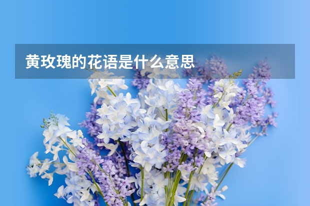 黄玫瑰的花语是什么意思