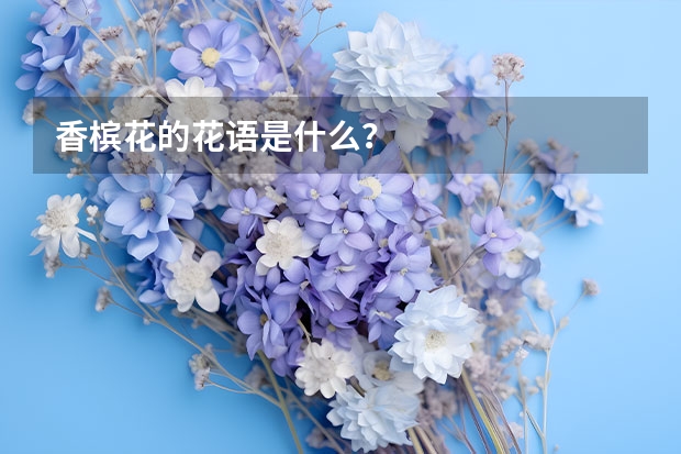 香槟花的花语是什么？