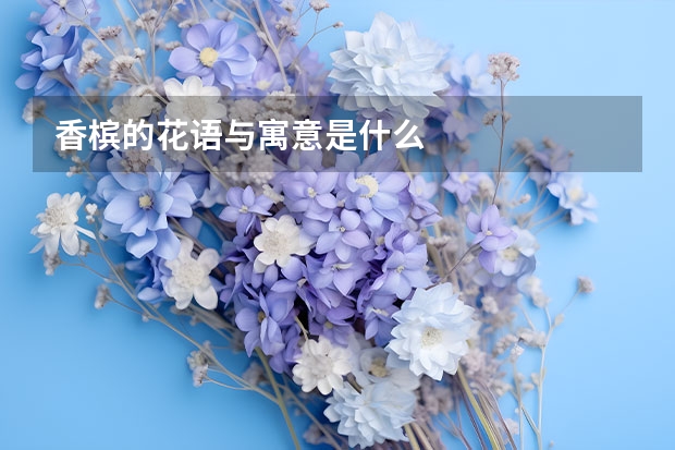 香槟的花语与寓意是什么