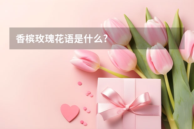 香槟玫瑰花语是什么?