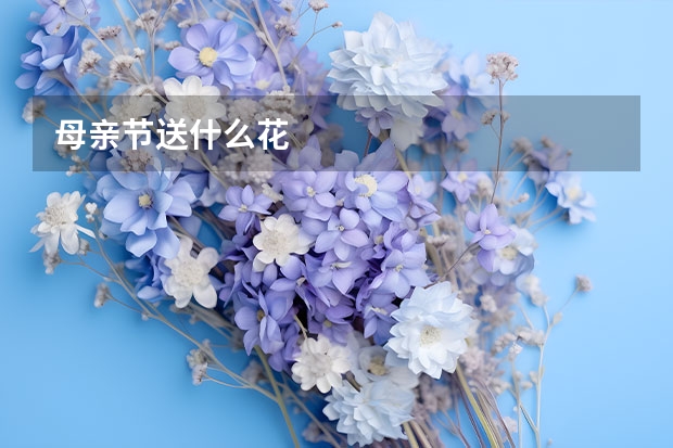 母亲节送什么花