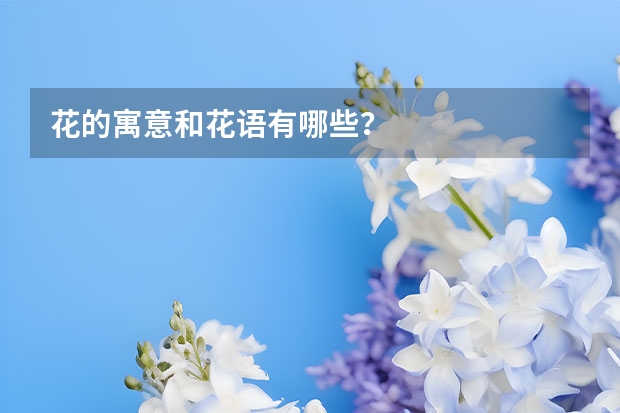 花的寓意和花语有哪些？