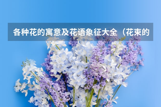 各种花的寓意及花语象征大全（花束的寓意）