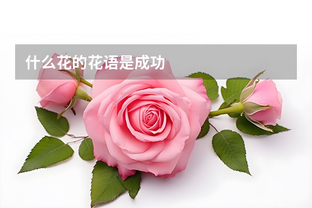 什么花的花语是成功