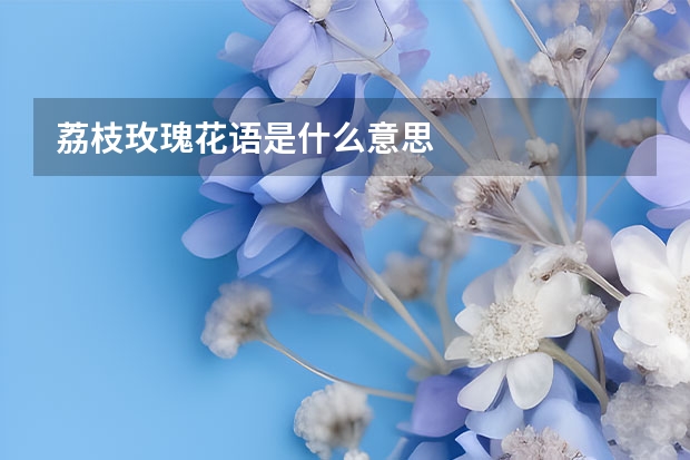 荔枝玫瑰花语是什么意思