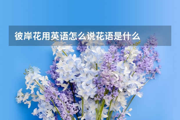 彼岸花用英语怎么说花语是什么