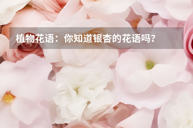 植物花语：你知道银杏的花语吗？