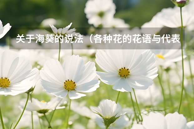 关于海葵的说法（各种花的花语与代表的寓意）