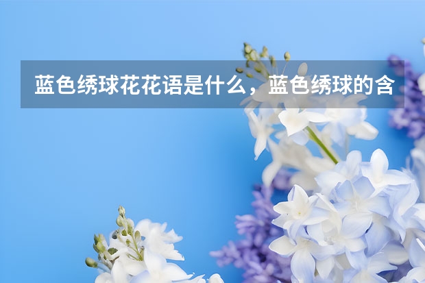 蓝色绣球花花语是什么，蓝色绣球的含义