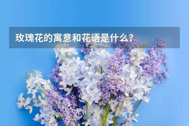 玫瑰花的寓意和花语是什么？