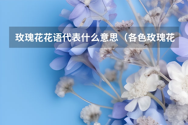 玫瑰花花语代表什么意思（各色玫瑰花语和寓意）