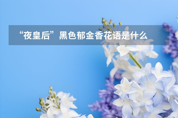 “夜皇后”黑色郁金香花语是什么