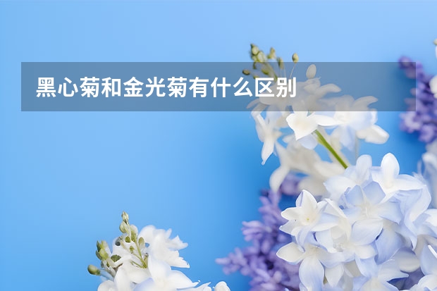 黑心菊和金光菊有什么区别