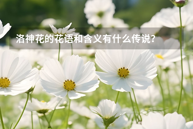 洛神花的花语和含义有什么传说？