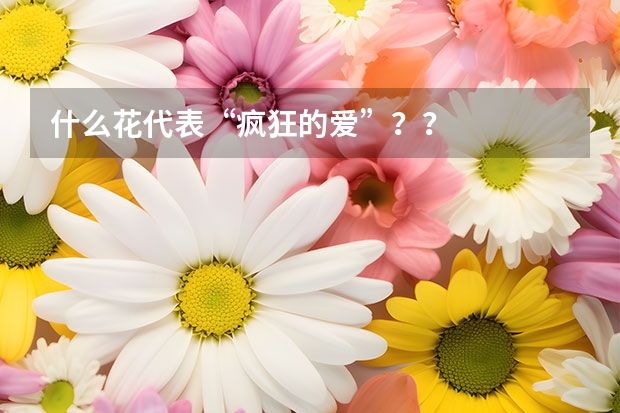 什么花代表“疯狂的爱”？？