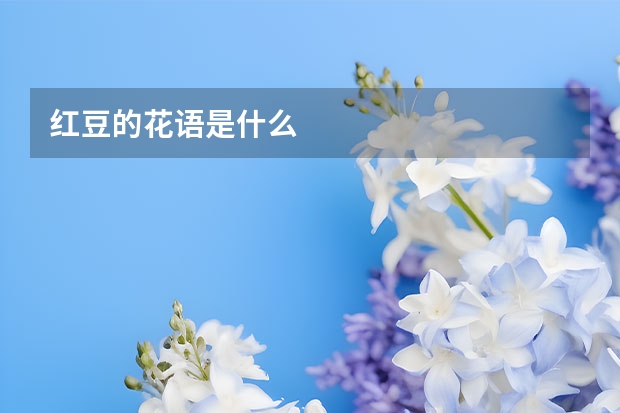 红豆的花语是什么