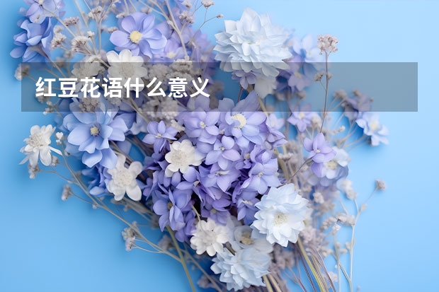 红豆花语什么意义