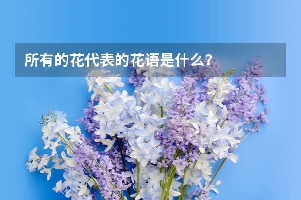 所有的花代表的花语是什么？