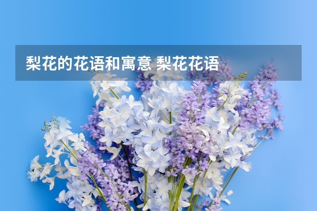 梨花的花语和寓意 梨花花语