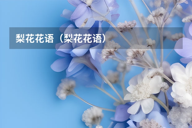 梨花花语（梨花花语）