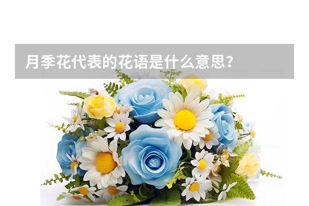 月季花代表的花语是什么意思？