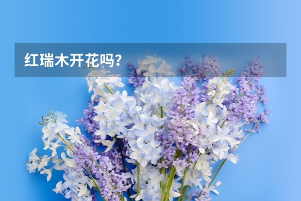 红瑞木开花吗？