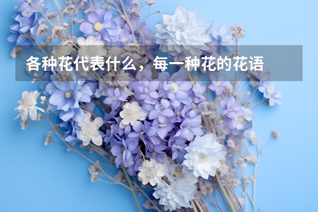 各种花代表什么，每一种花的花语