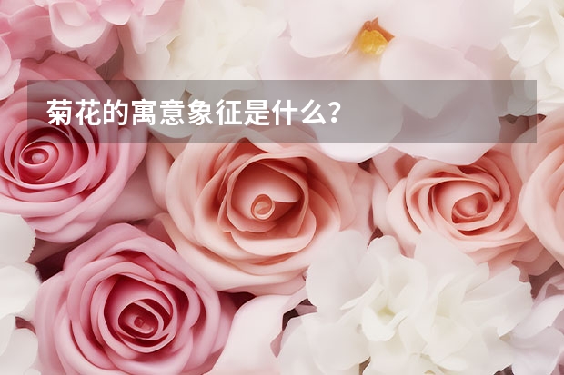 菊花的寓意象征是什么？