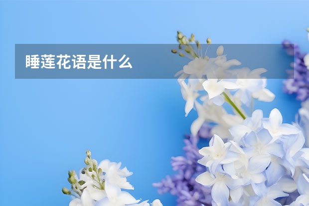 睡莲花语是什么