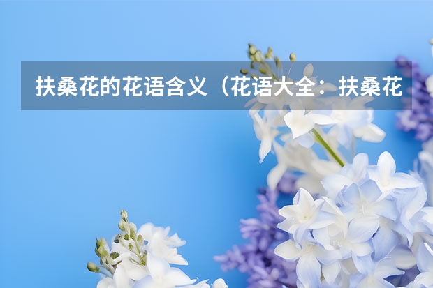 扶桑花的花语含义（花语大全：扶桑花花语及含义）