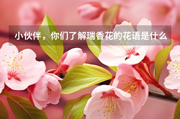 小伙伴，你们了解瑞香花的花语是什么吗？瑞香花的种植需要注意什么呢？