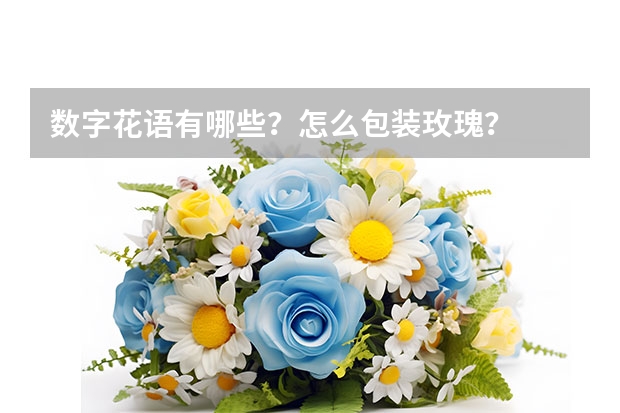 数字花语有哪些？怎么包装玫瑰？