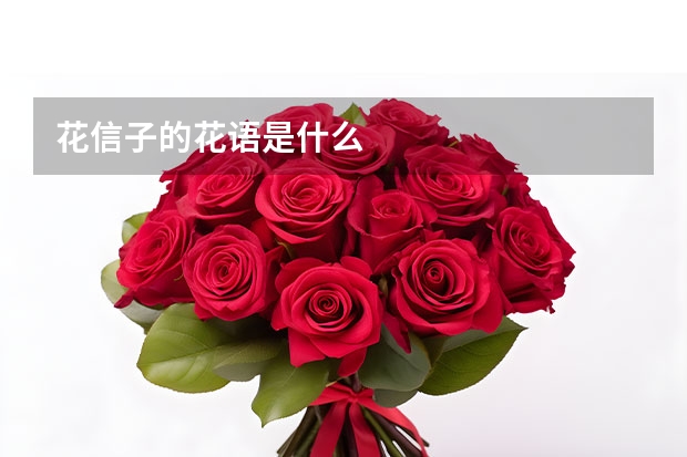 花信子的花语是什么