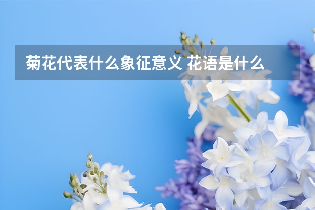 菊花代表什么象征意义 花语是什么