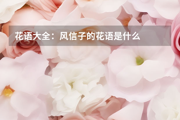 花语大全：风信子的花语是什么