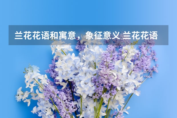 兰花花语和寓意，象征意义 兰花花语和寓意