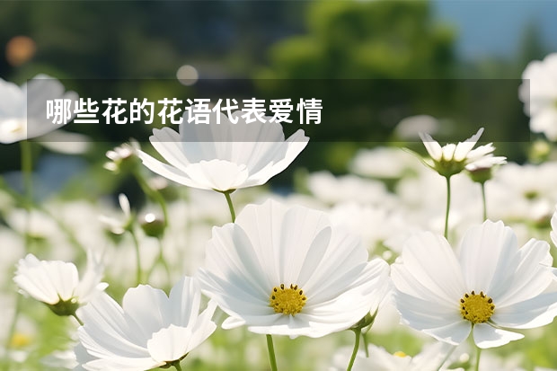 哪些花的花语代表爱情