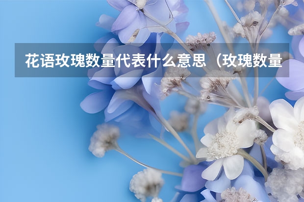 花语玫瑰数量代表什么意思（玫瑰数量寓意和象征意义）