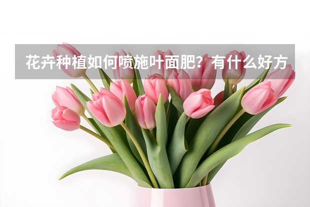 花卉种植如何喷施叶面肥？有什么好方法？