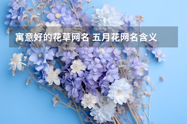 寓意好的花草网名 五月花网名含义