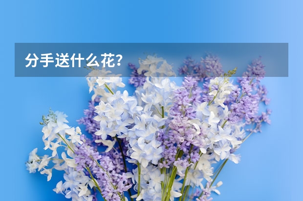 分手送什么花？