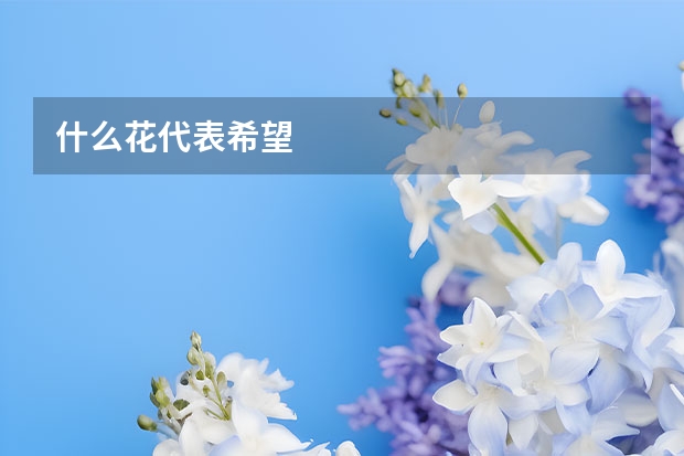 什么花代表希望