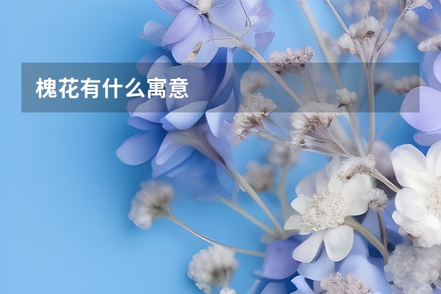 槐花有什么寓意