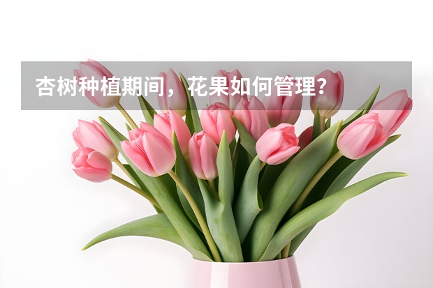 杏树种植期间，花果如何管理？