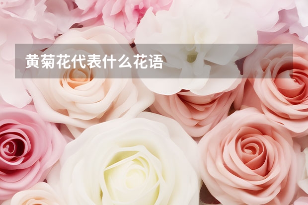 黄菊花代表什么花语