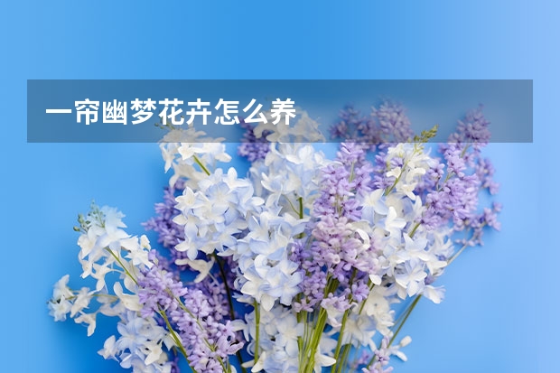 一帘幽梦花卉怎么养