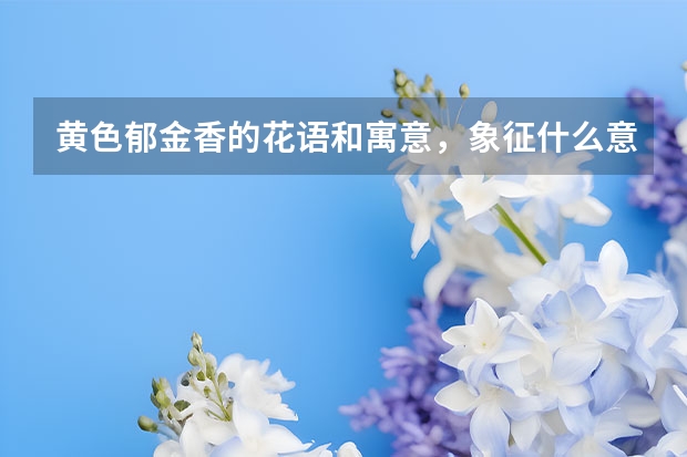 黄色郁金香的花语和寓意，象征什么意思