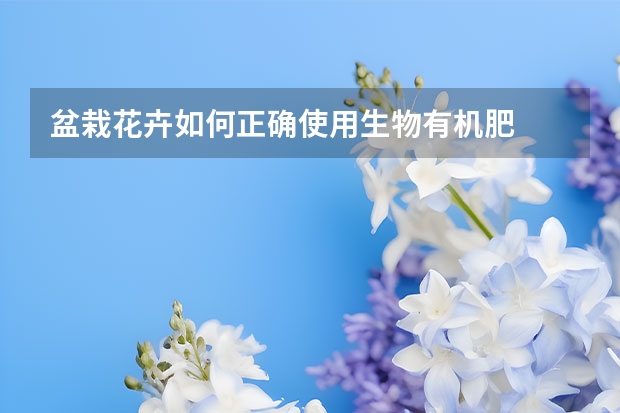 盆栽花卉如何正确使用生物有机肥